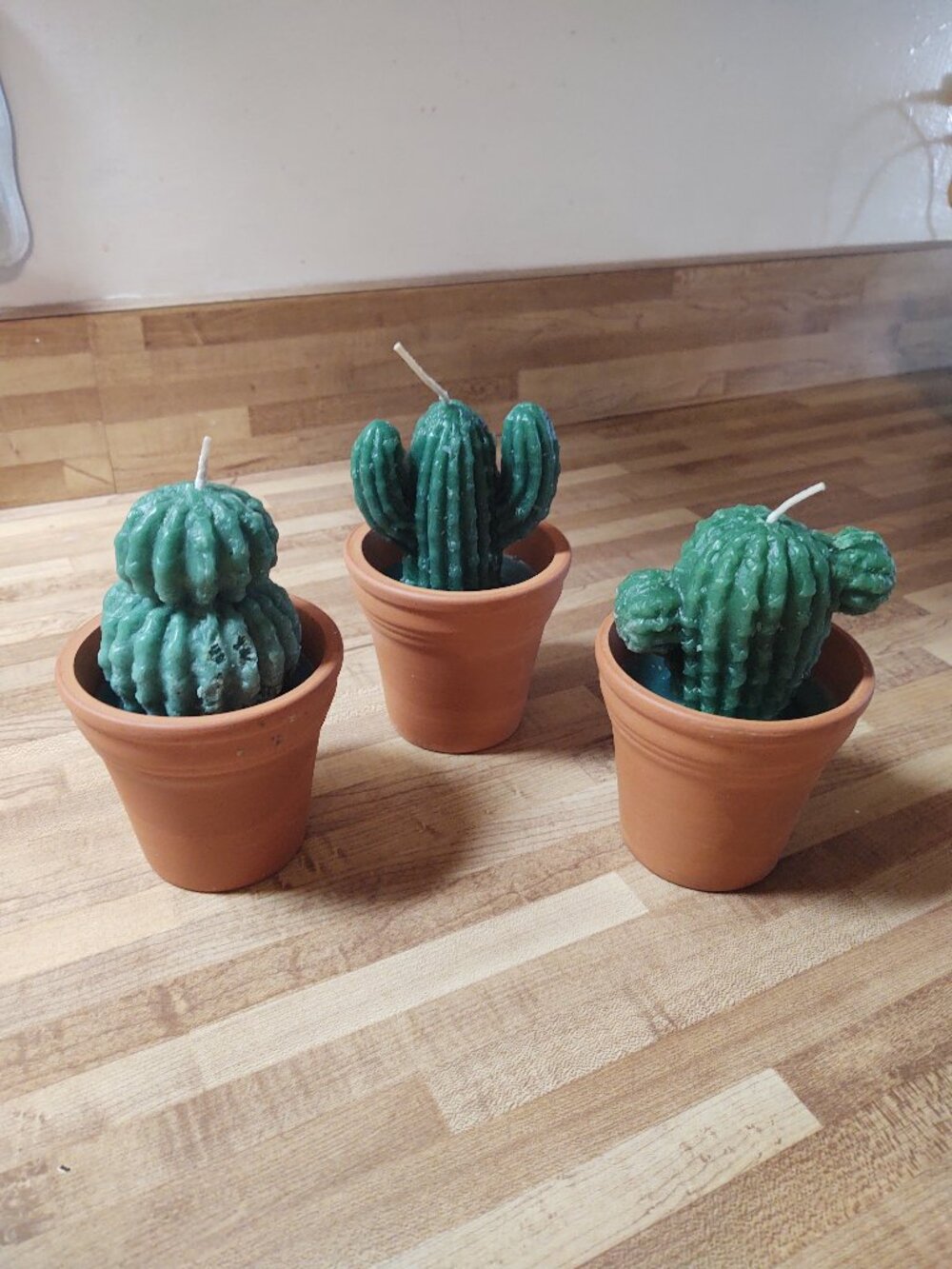 Cactus candles